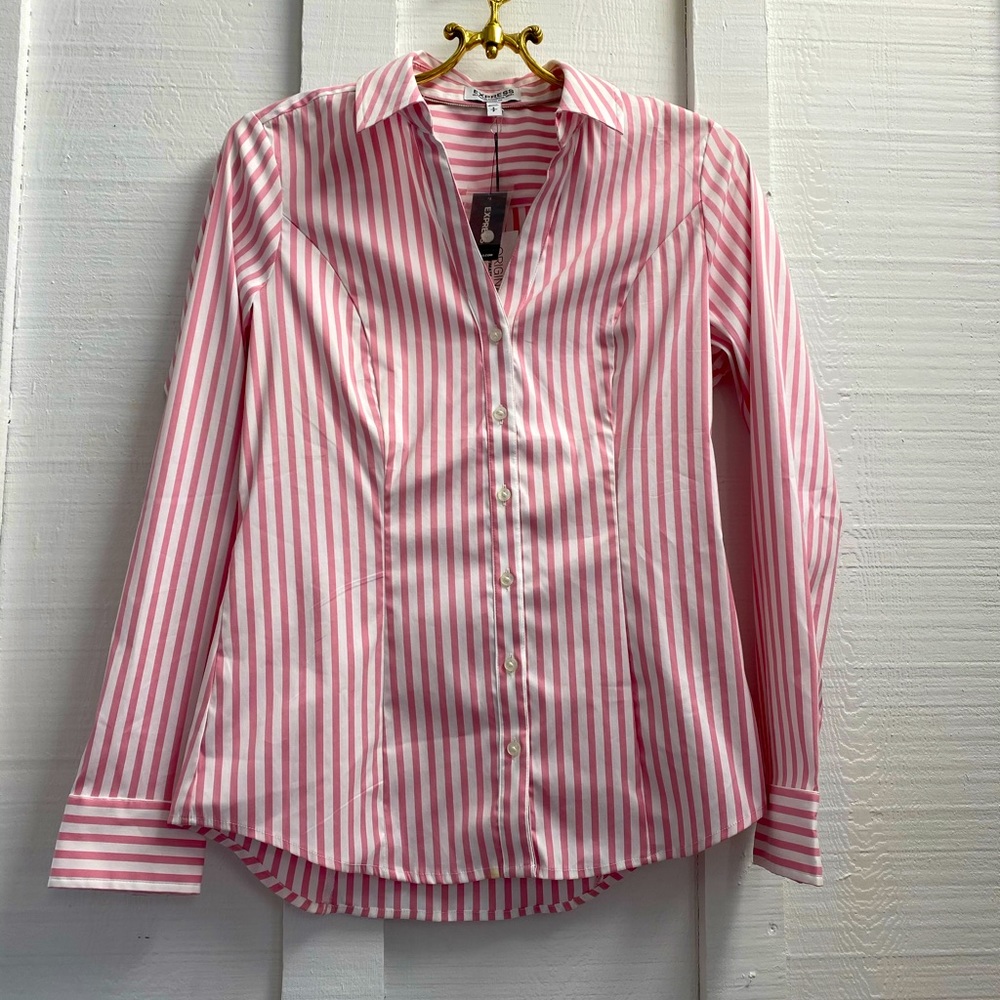 Express Striped Button Up W/ Tags - image 1